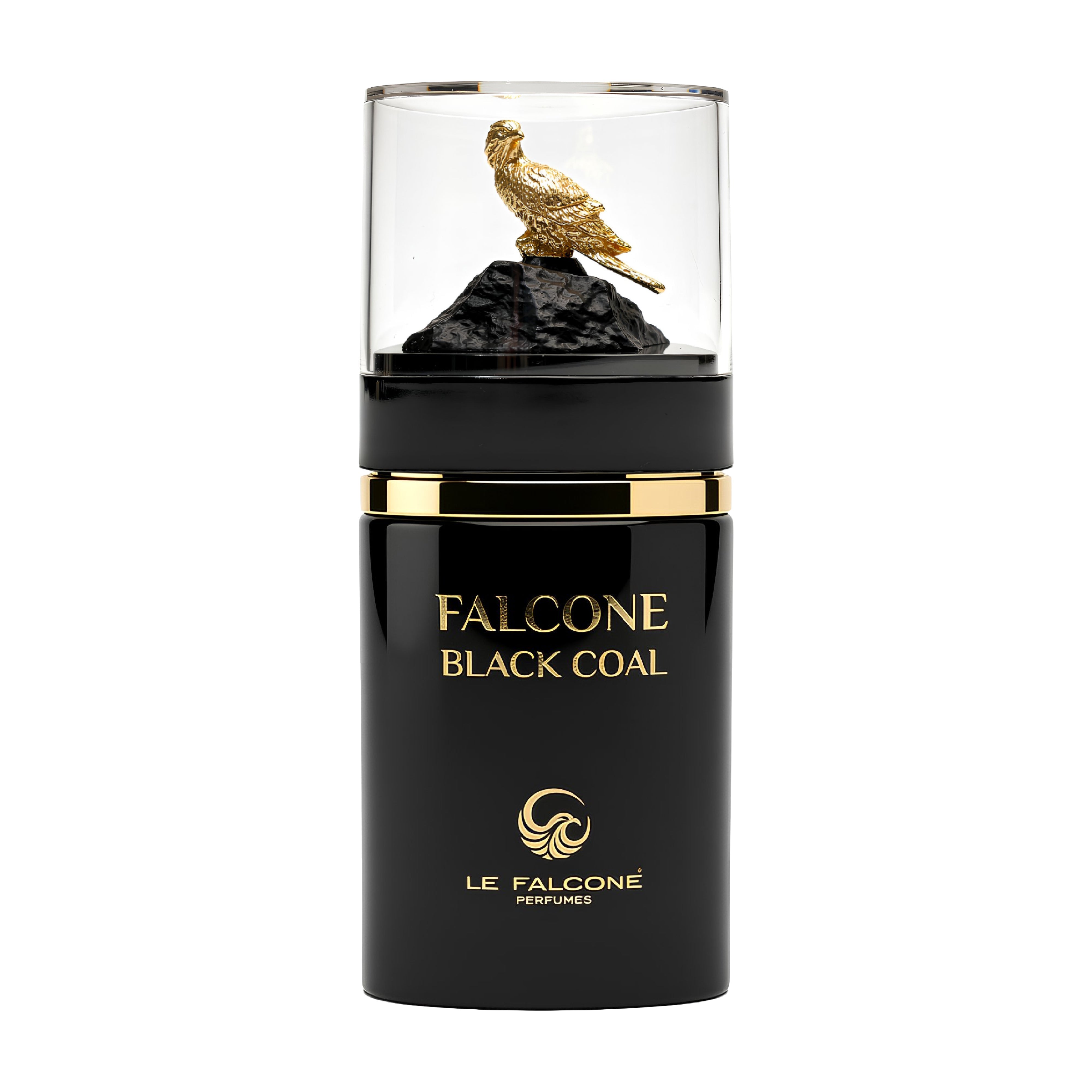 Black coal - Le falcone perfume -100ml - Wholesale